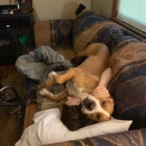 Meet your Posher, Timothy